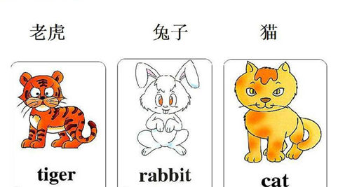 少儿学英语单词:单词怎样记忆更好?