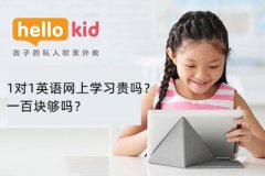 1对1英语网上学习贵吗?一百块够吗?