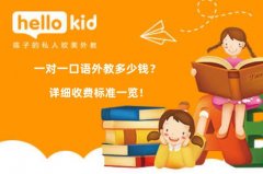 一对一口语外教多少钱?详细收费标准一览!