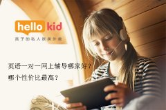 英语一对一网上辅导哪家好?哪个性价比最高?
