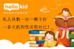 私人外教一对一哪个好—各大机构优劣势对比!
