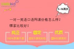 一对一英语口语网课价格怎么样?哪家比较好?