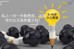 私人一对一外教费用,这家性价比又高质量又好!