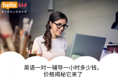 英语一对一辅导一小时多少钱,价格揭秘它来了