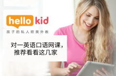 一对一英语口语网课,推荐看看这几家