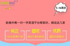 欧美外教一对一学英语平台哪家好,细说这几家