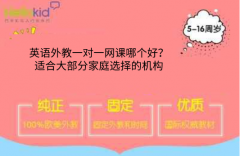 英语外教一对一网课哪个好?适合大部分家庭选择的机构
