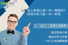 儿童线上英语口语一对一哪家好?具体分析几家一对一机构