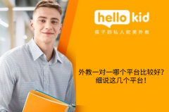外教一对一哪个平台比较好?细说这几个平台!