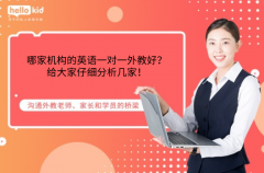 哪家机构的英语一对一外教好？给大家仔细分析几家！