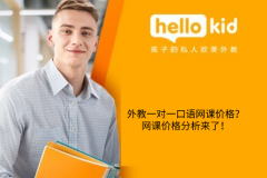 外教一对一口语网课价格?网课价格分析来了!