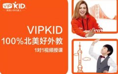 网上一对一英语教学的有哪些,多年行业人士总结!