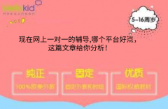 现在网上一对一的辅导,哪个平台好点,这篇文章给你分析!