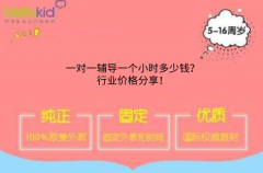 一对一辅导一个小时多少钱?行业价格分享!