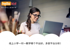 线上小学一对一教学哪个平台好,多家平台分析!