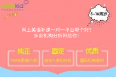 网上英语补课一对一平台哪个好?多家机构分析带给你!