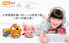 小学英语补课一对一一小时多少钱,一对一价格分享!