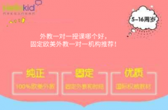 外教一对一授课哪个好,固定欧美外教一对一机构推荐!