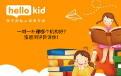 一对一补课哪个机构好?宝爸测评告诉你!