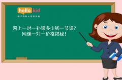 网上一对一补课多少钱一节课?网课一对一价格揭秘!