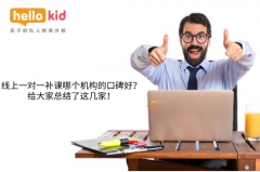 线上一对一补课哪个机构的口碑好?给大家总结了这几家!