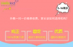 外教一对一价格表收费,家长该如何选择机构?