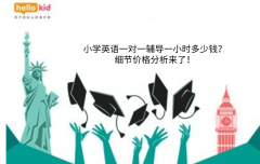 小学英语一对一辅导一小时多少钱?细节价格分析来了!