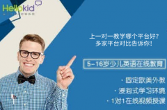 线上一对一教学哪个平台好?多家平台对比告诉你!