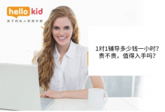 1对1辅导多少钱一小时?贵不贵,值得入手吗?