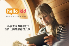 小学生网课哪家好?性价比高的推荐这几家!