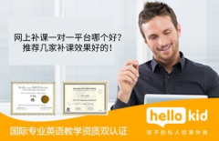 网上补课一对一平台哪个好?推荐几家补课效果好的!