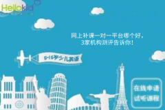 网上补课一对一平台哪个好,3家机构测评告诉你!