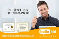 一对一外教多少钱?一对一价格情况披露!