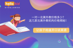 一对一北美外教价格多少?这几家北美外教机构价格揭秘!