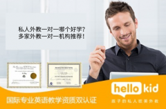 私人外教一对一哪个好学?多家外教一对一机构推荐!