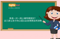 英语一对一网上辅导哪家好?这几家让孩子的口语从此变得更自然流畅