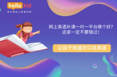 网上英语补课一对一平台哪个好?这家一定不要错过!