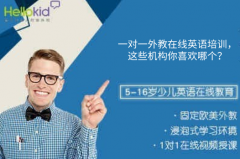 一对一外教在线英语培训,这些机构你喜欢哪个?