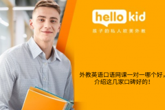 外教英语口语网课一对一哪个好,介绍这几家口碑好的!