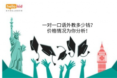 一对一口语外教多少钱?价格情况为你分析!