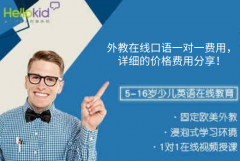 外教在线口语一对一费用,详细的价格费用分享!